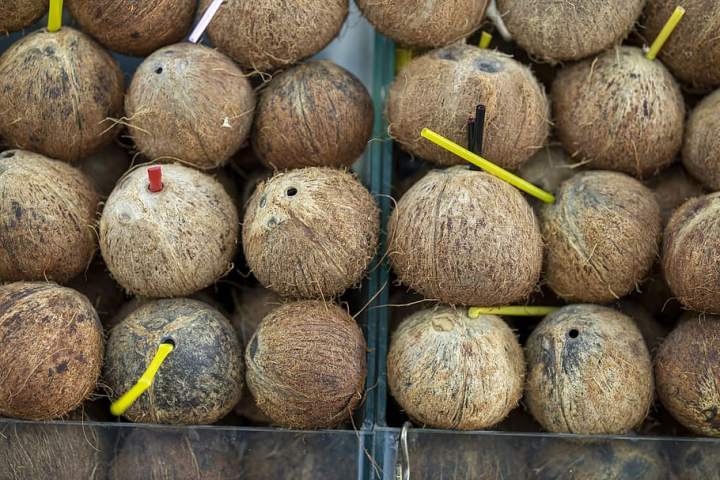Areca and coconut prices
