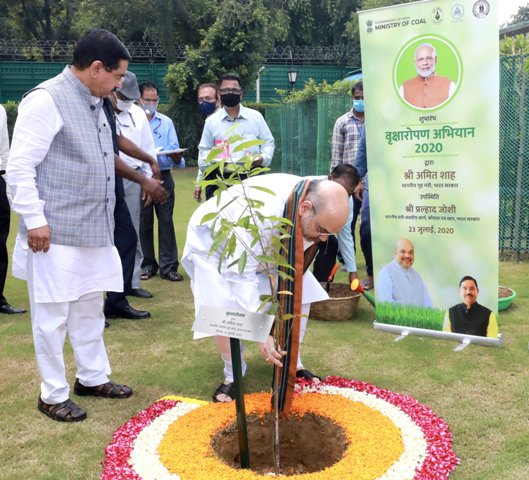 Amit Shah congratulates Coal Ministry for planting trees at over 130 locations 