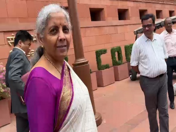 Finance Minister Nirmala Sitharaman Receives Praise for Balanced Budget 2024-25