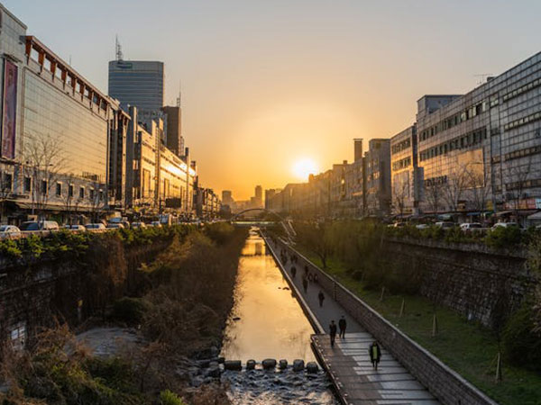 Tragic Blaze in Bucheon: Seven Dead, Several Injured