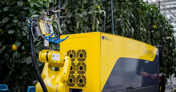 Researchers develop 'Sweeper' robot to help farmers cut labour costs