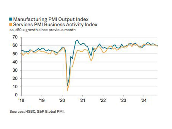 India's Manufacturing and Services Sectors Experience Slowest Growth in 2024: HSBC PMI Survey