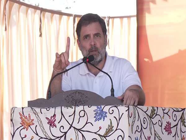 Rahul Gandhi Promises Statehood for Jammu & Kashmir if Elected