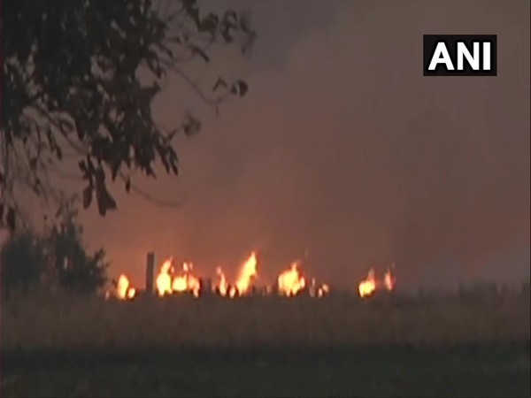 Punjab: Farmers continue to burn stubble in Ludhiana