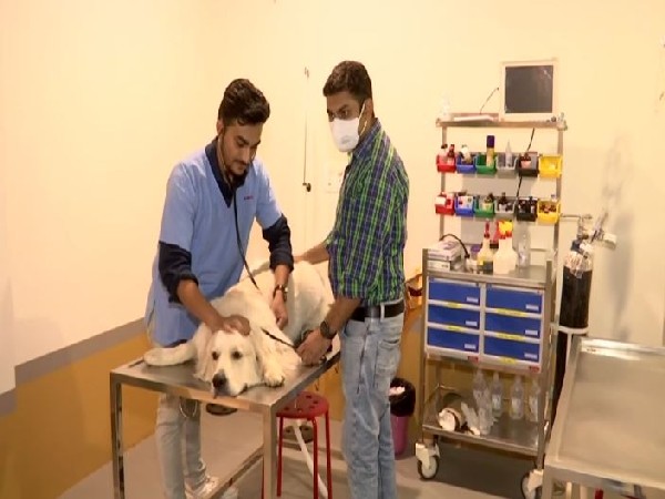 After losing his dog, Gujarat man opens India's first veterinary ventilator hospital in Ahmedabad