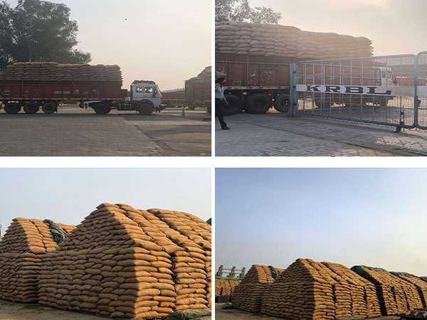 India Gate Sets Record Paddy Procurement Amid Basmati Export Boom