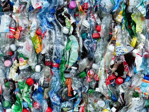 Plastic pollution is bad, but food waste is far worse