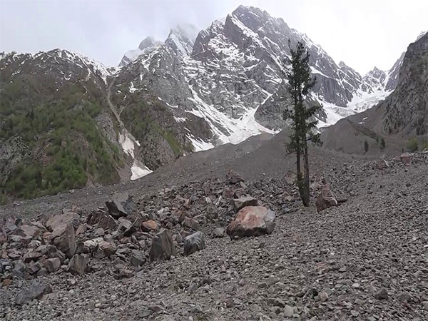 Deforestation Fuels Crisis in Gilgit-Baltistan: An Urgent Call for Change