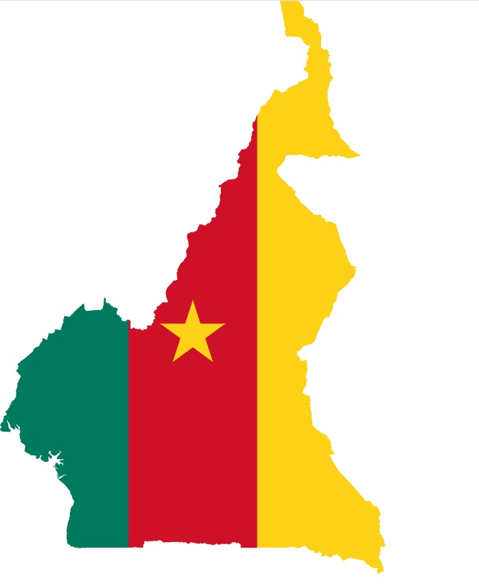 IMF states Cameroon runs high risk of over-indebtedness