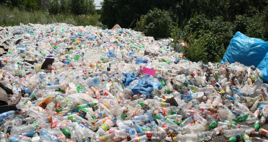 Haryana bans single-use plastic