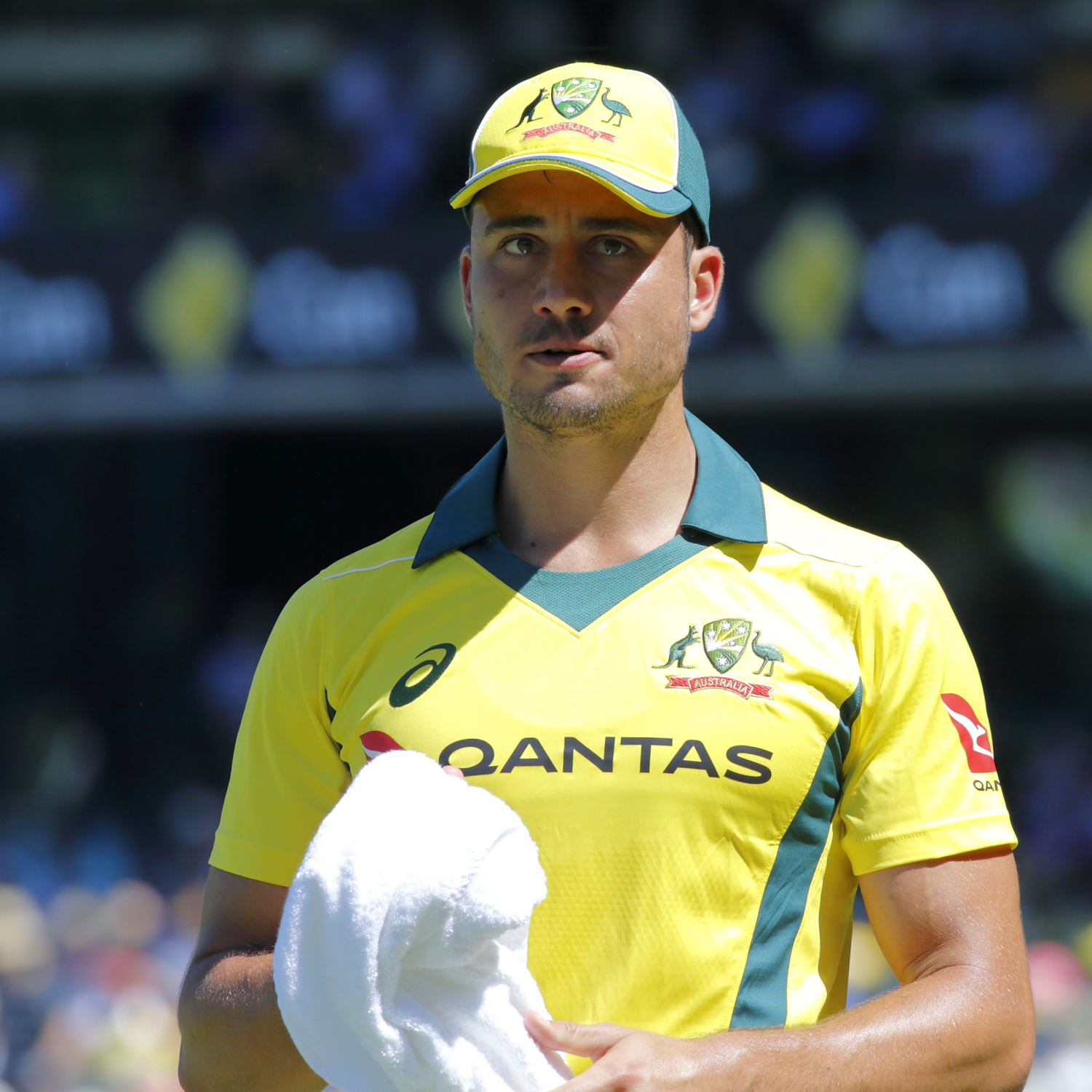 Stoinis Vows Commitment to Australia Despite Missing CA Central Deal