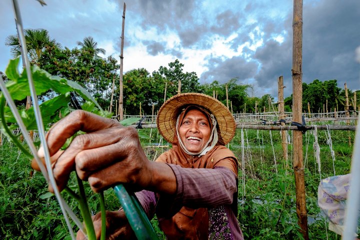ADB and ECOM sign $60m loan to support livelihoods of smallholder farmers