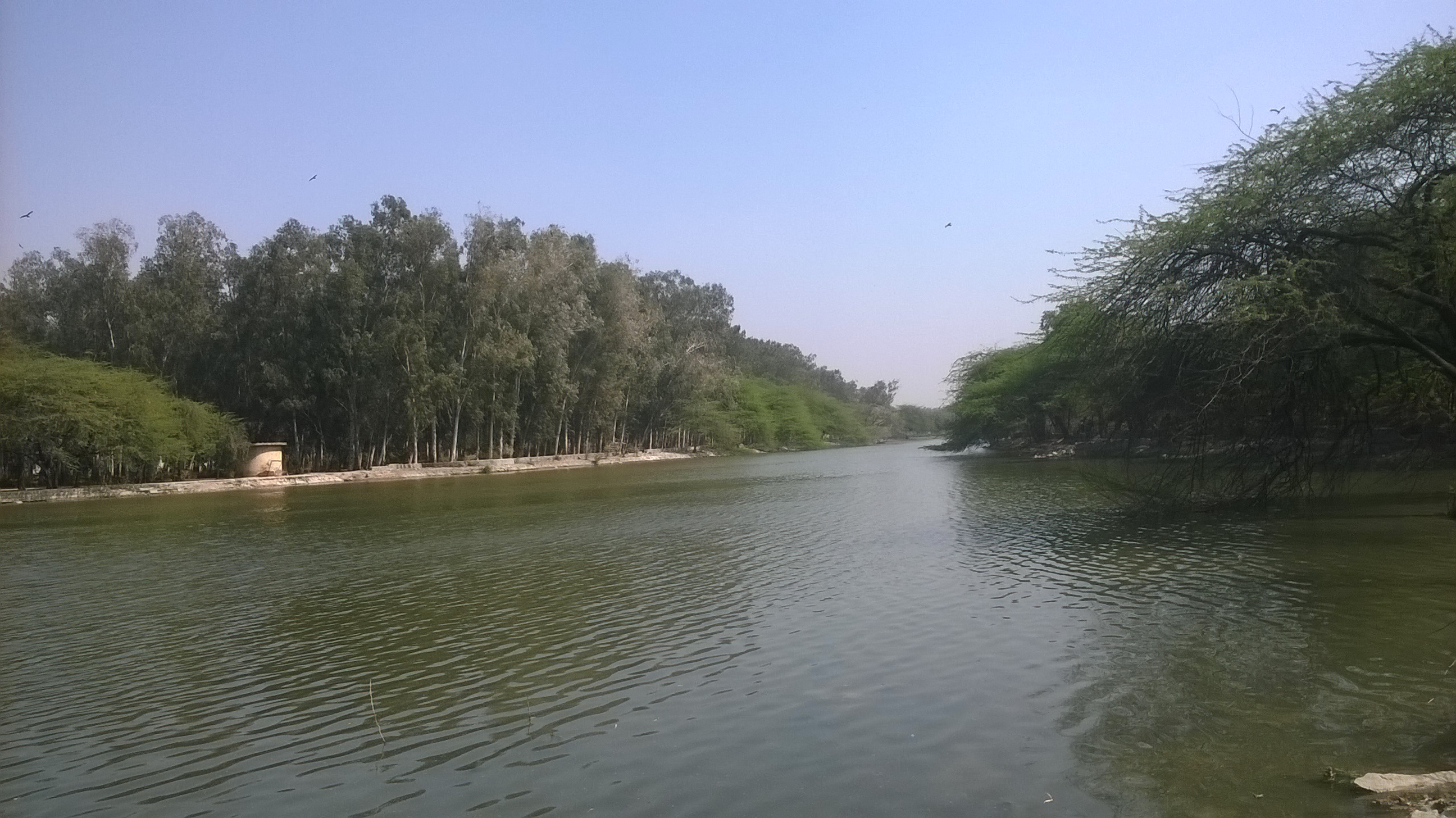 Delhi makes last ditch attempt to save 'extinct' water bodies