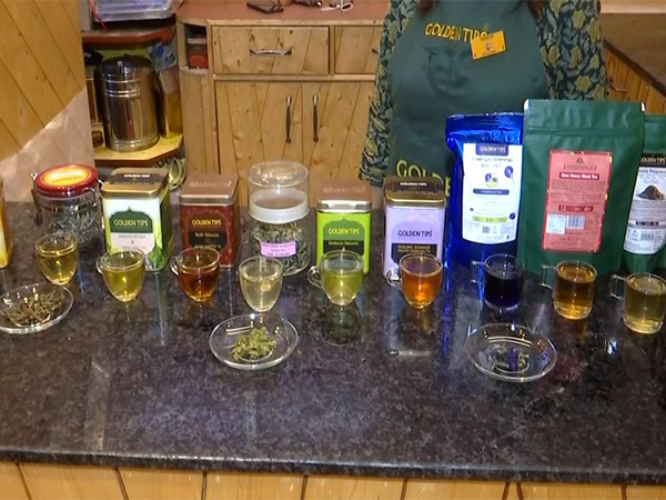 Darjeeling boasts India's most expensive tea at Rs 1.5 lakh per kg 