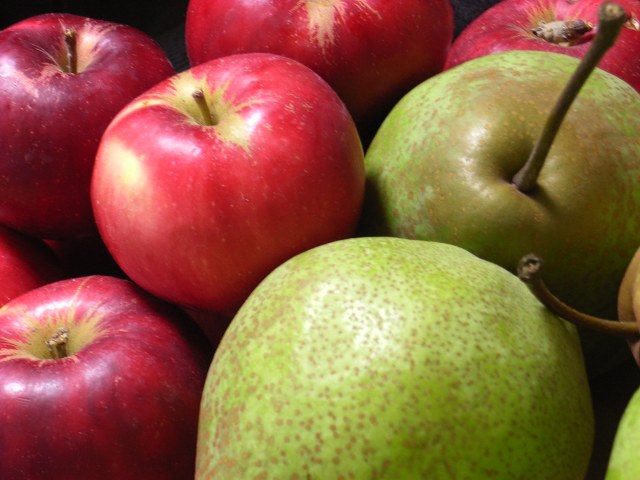 Govt bans apple imports if its price is less than Rs 50 per Kg