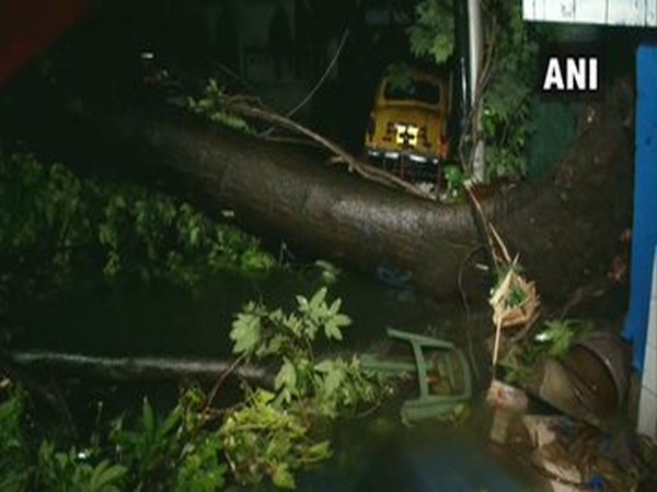 Week after cyclone Amphan, Kolkata struck by 96 kmph nor'wester