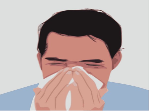 New findings on allergies could help improve diagnosis, treatment