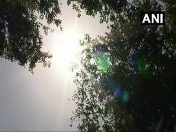 Rajasthan sizzles as mercury touches 48 degrees