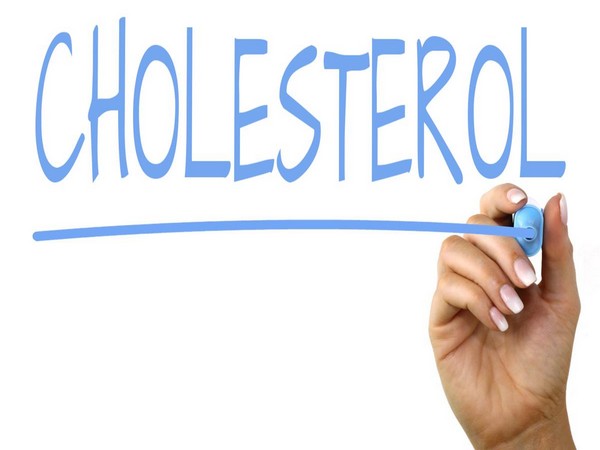 Study suggests no association between milk and increased cholesterol levels
