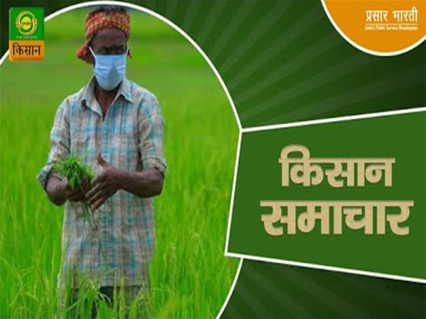 DD Kisan to launch two AI anchors this Sunday that would speak 50 languages
