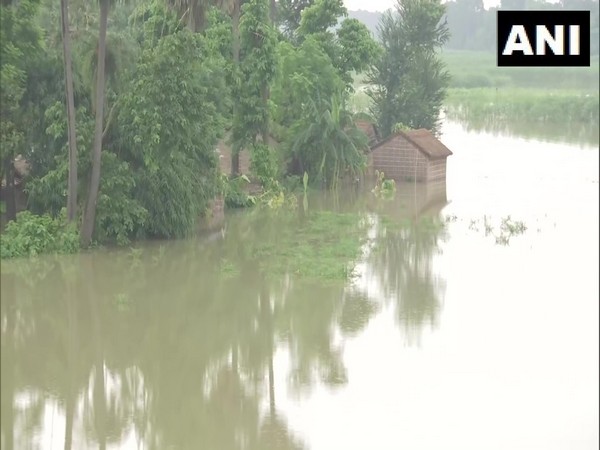 Maha: Central team visits flood-hit Bhandara, Gondia districts