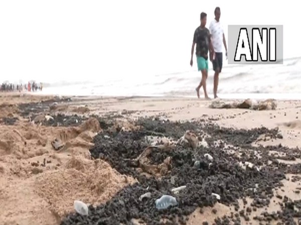 Jellyfish, tarballs found along Mumbai's Juhu beach