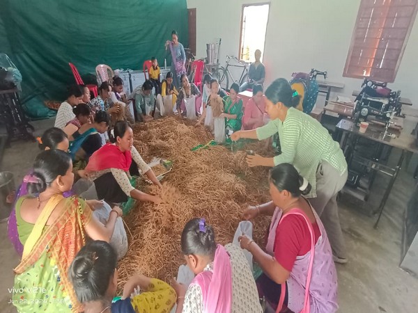 Empowering Marginalised Families with Sustainable Mushroom Cultivation Training in Karbi Anglong