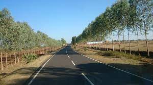 Green highways mission: Over 5,000 kms of avenue plantation work done so far