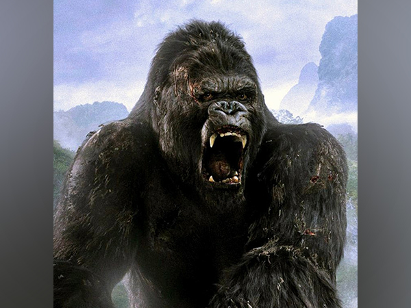 'King Kong' live-action series in works 