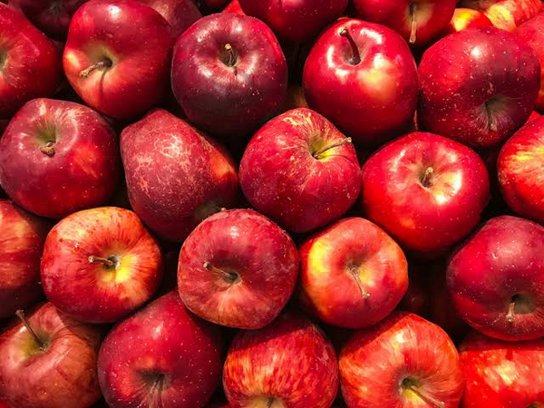 Himachal Apple Farmers Seek Higher Import Prices Amid Crisis