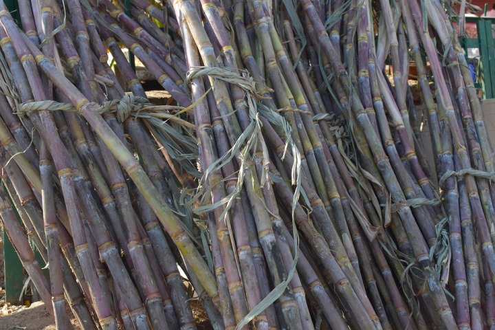 UP: RLD-led activists reportedly burn sugar cane crops, demand MSP from govt