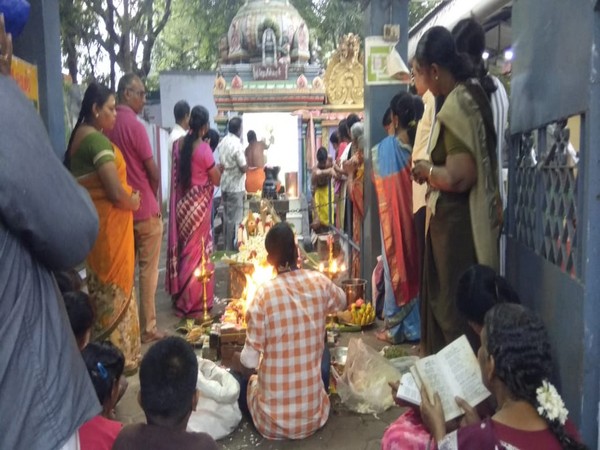 Coimbatore: Special 'yagna' to save jumbos, cows