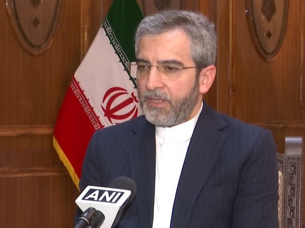 West creating "baseless and fallacious" atmosphere: Iran Minister on Mahsa Amini protests