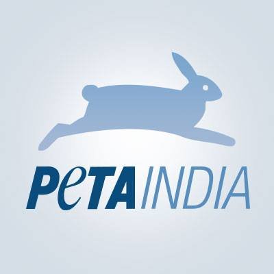 PETA not taking legal action against bull riding sport in US similar to jallikattu