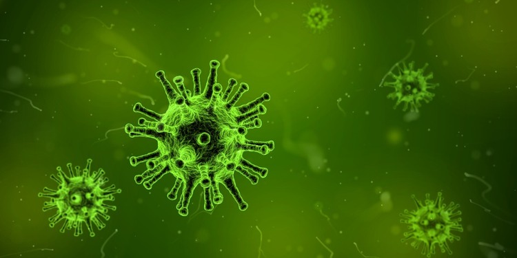 WHO confirms coronavirus-infected patient being treated in Thailand