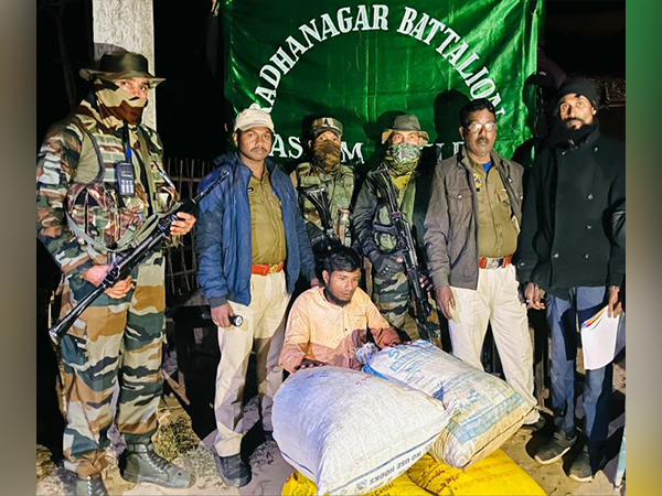 Assam Rifles recovers marijuana worth Rs 19 lakh from Karimganj 