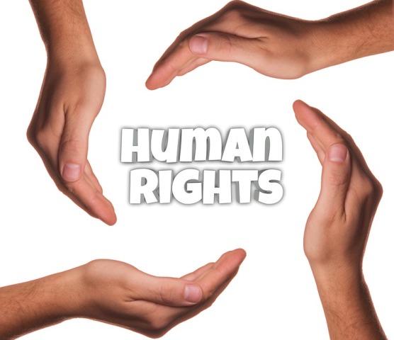What is the Universal Declaration of Human Rights, which is marking its 75th anniversary?