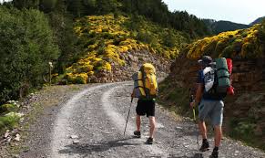 Swiss hiker defies Parkinson's, plans new challenge