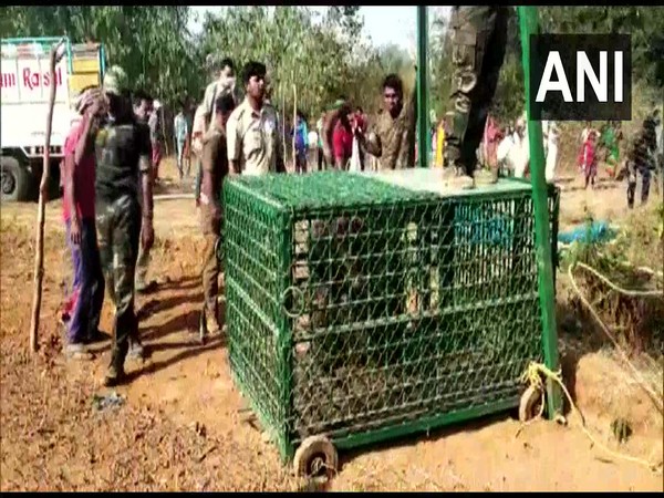 Forest department rescues wild bear from abandoned pit in Odisha's Nabarangpur 