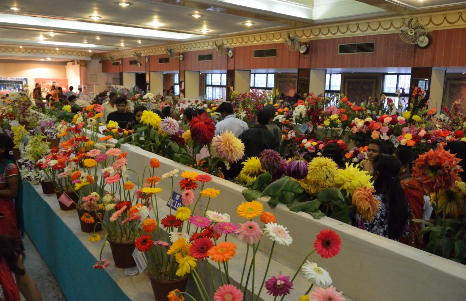 Ethiopia's floriculture, coffee showcased at Beijing Horticulture Expo 2019 