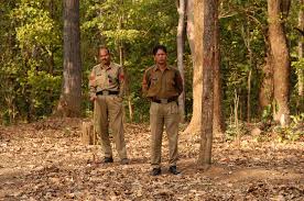 Naxal's remains found in jungle over a month after encounter