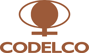 Chilean copper giant Codelco records 3,215 cases of COVID-19; nine fatalities