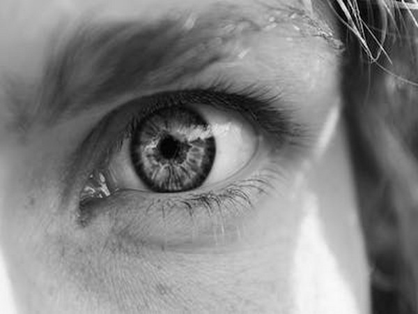 Study discovers immune cells patrolling human eye