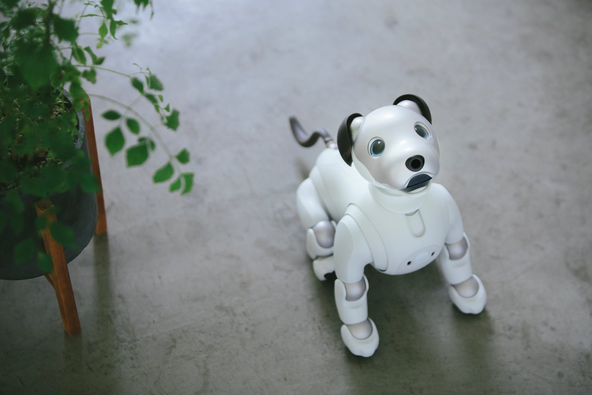 Aibo, the robot dog of Sony that only costs USD 2,899  