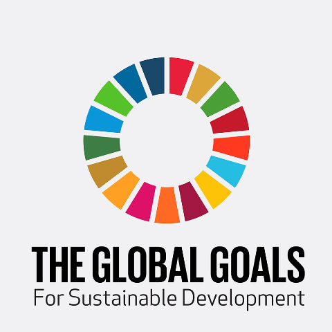 UN Chief calls for surge in financing & investments to achieve 2030 Agenda