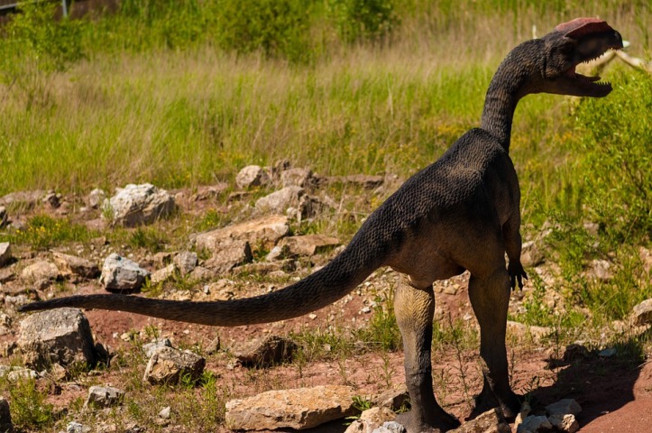 Russia researchers stumble upon new dinosaur species