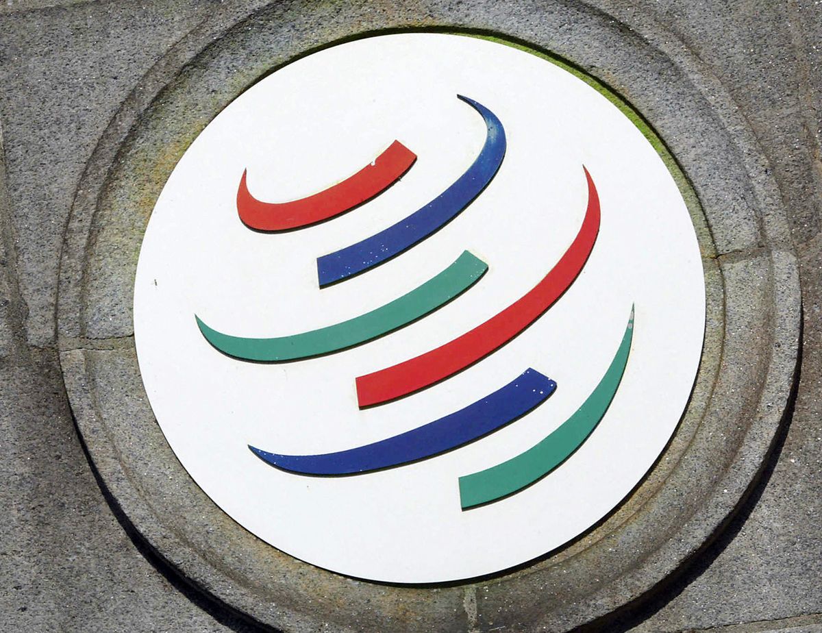 WTO system currently "falling short" of its objectives, needs reform: Official
