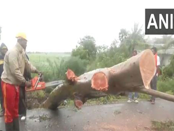 Cyclone Dana's Impact: Swift Restoration in Odisha