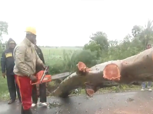 Cyclone Dana Hits Odisha: Swift Action and Relief Efforts Underway