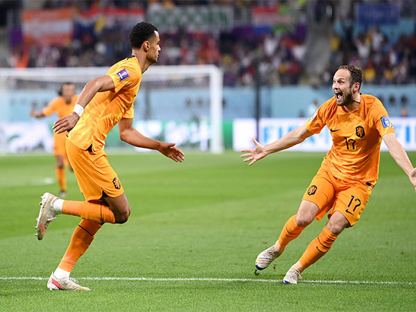 FIFA World Cup 2022: Gakpo's goal helps Netherlands take 1-0 lead at half-time